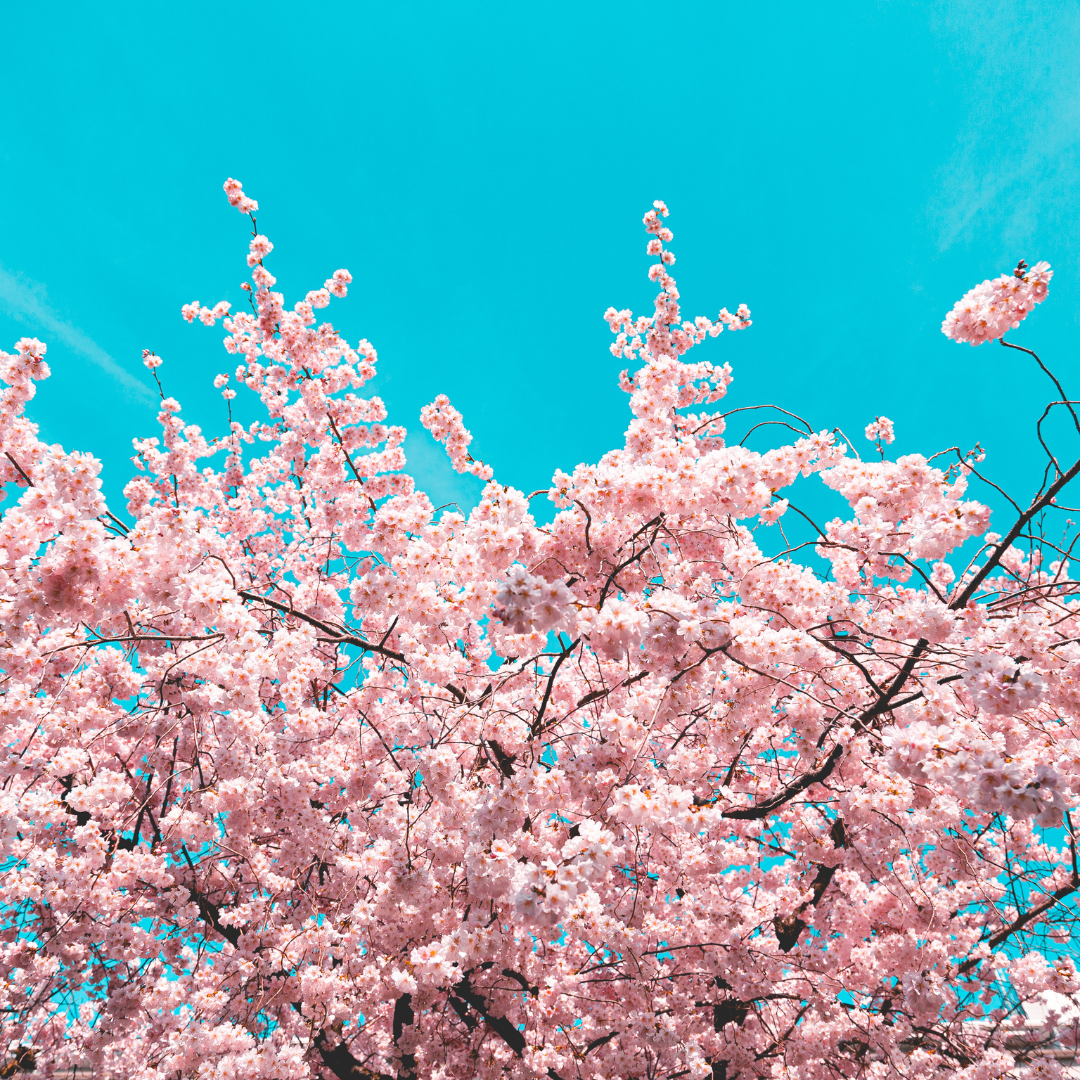 How to stay profitable during slow seasons without hustling harder